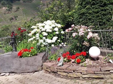 Panoramablick Apartmán *